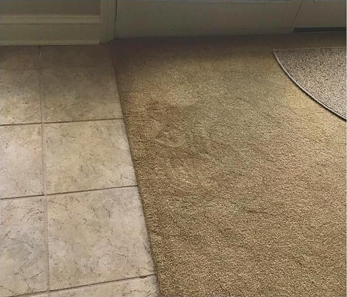 Wet carpet after a burst pipe