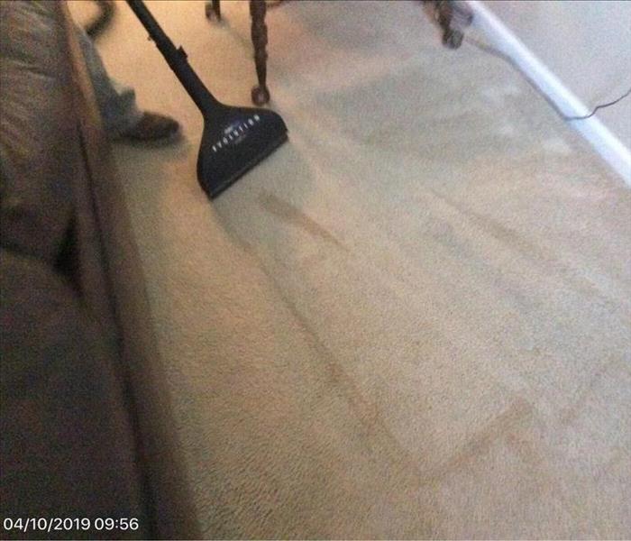 carpet cleaning wand