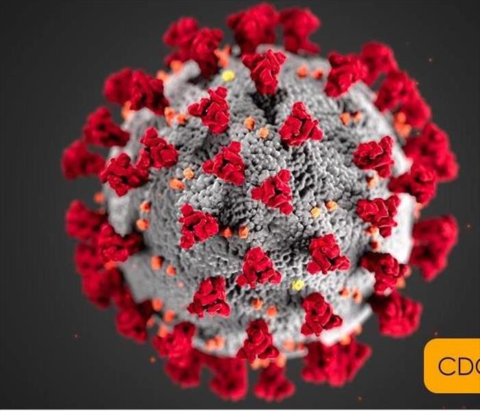 coronavirus cell-gray ball with red spikes 