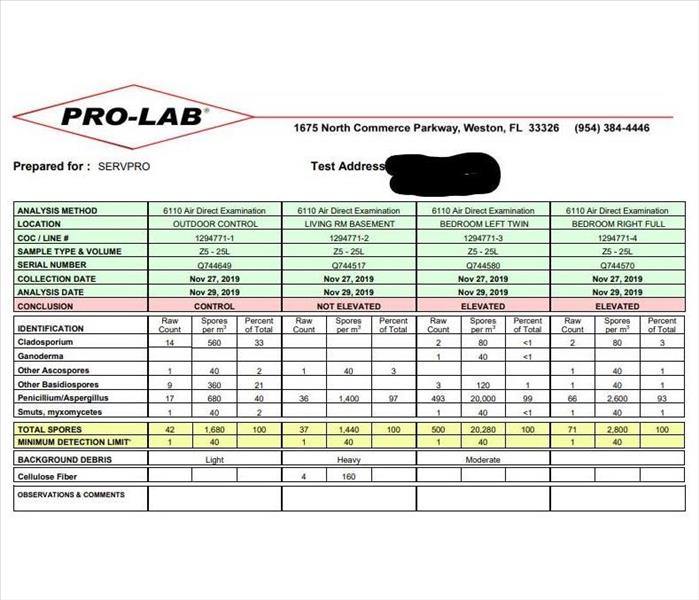 results from Pro Lab listing out elevated spore counts 
