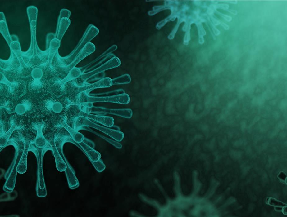 Green background with coronavirus graphic